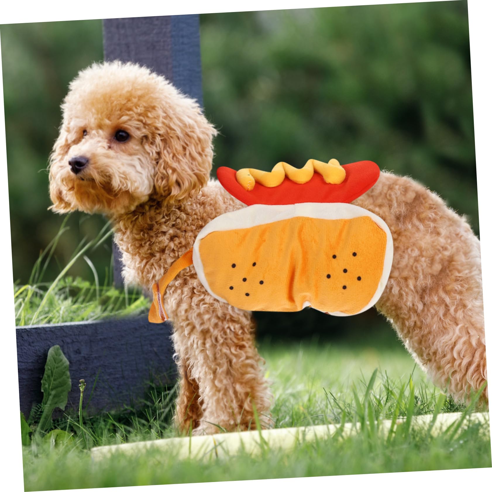 YARNOW 3 Pz Cappotto Per Cani Vestiti Per Animali Domestici Di Natale Costume Da Cosplay Per Cani Da Festival Vestiti Cosplay Per Animali Da Compagnia Costume Da Cane Hamburger Zucca