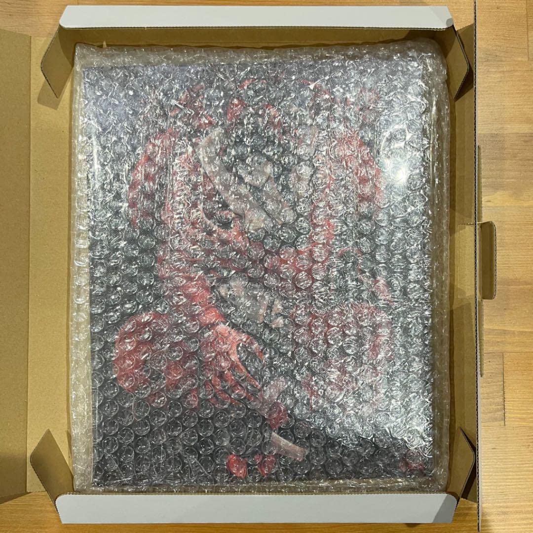 Amazon.co.jp: ドロヘドロ展 キャンバスアー 5 ハル : おもちゃ