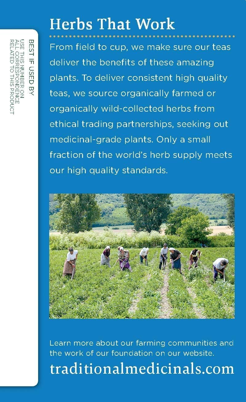 Traditional Medicinals Organic Nighty Night Valerian Herbal Tea - 16 Bags per Pack - 6 Packs per case.