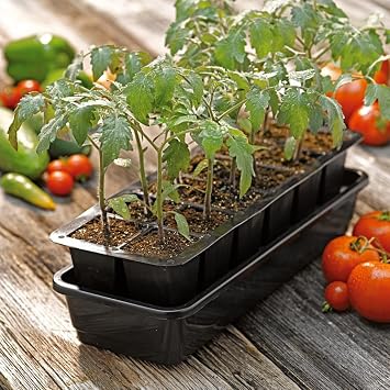 Gardeners Supply Company GrowEase Seed Starting Self Watering Tray |12-Cell Seedling Tray with Capillary Mat, Water Reservoir & Germination Dome | Indoor Greenhouse Gardening Kit