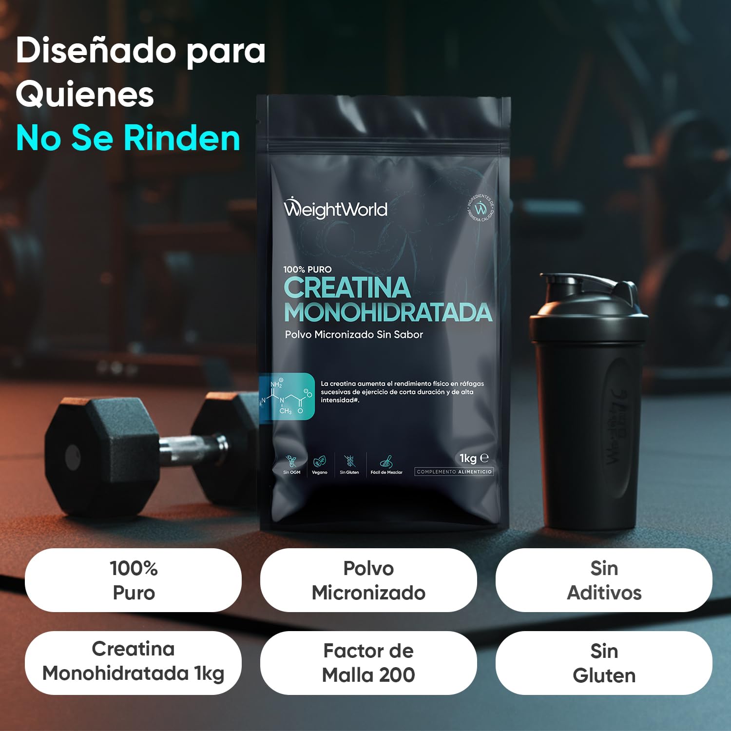 Creatina Monohidratada en Polvo 1kg/1000g para 330 Días - 100% Puro, Factor de Malla 200, 100% Monohidrato de Creatina Micronizada - Sin Sabor, Vegana, Cuchara Incluida