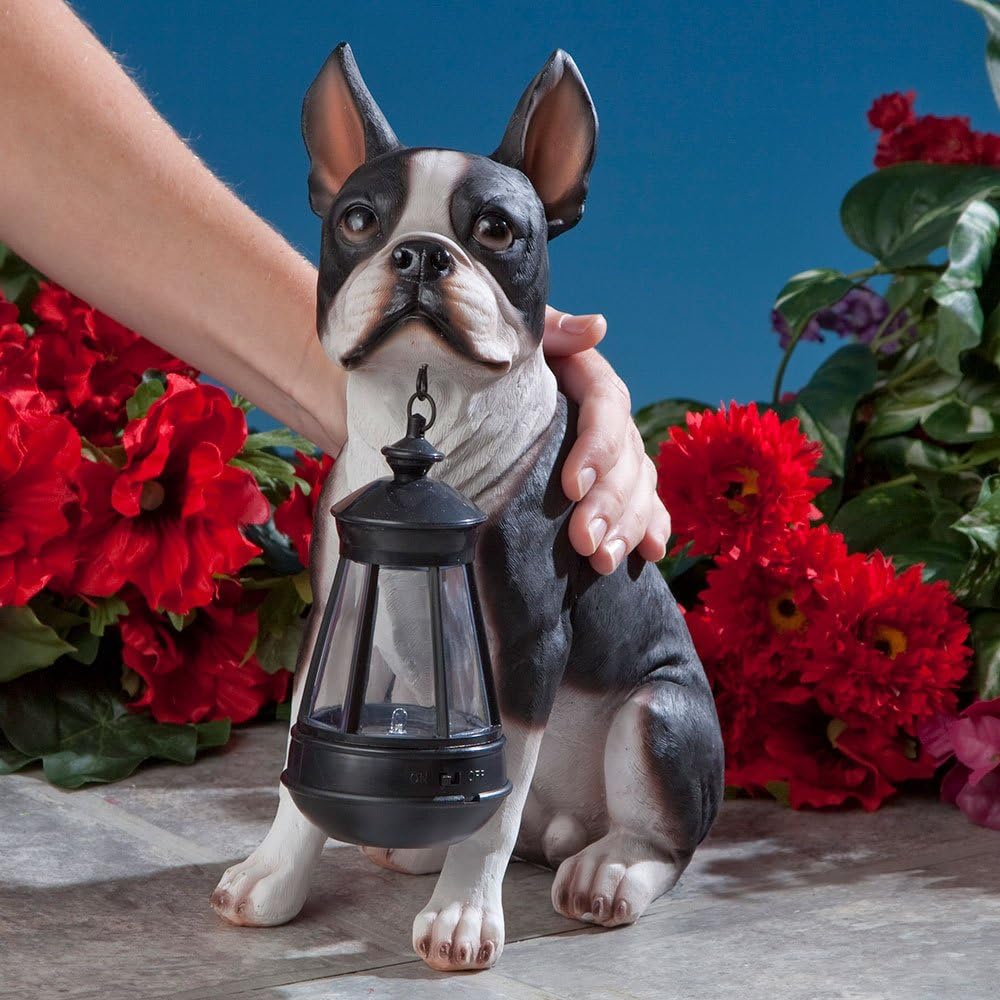 Bits and Pieces - Boston Terrier Solar Lantern Statue - Yard Decorations - Solar Powered Garden Lantern - Resin Dog Sculpture - Outdoor LED Lighting - Image 3