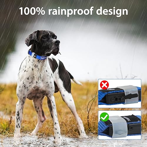 Miniatura 4 de MASBRILL Collar para perro con luces LED, recargable, resistente al agua, intermitente, brillante, para caminar nocturno, color azul, talla M (19.69