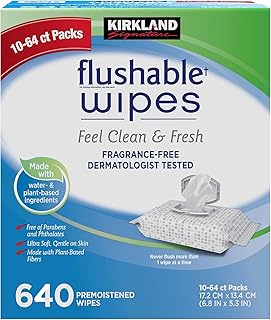 Kirkland Signature Kirkland signature Moist flushable Wipes 632 Wipes, 632 Count, White (632 Count (Pack of 1))