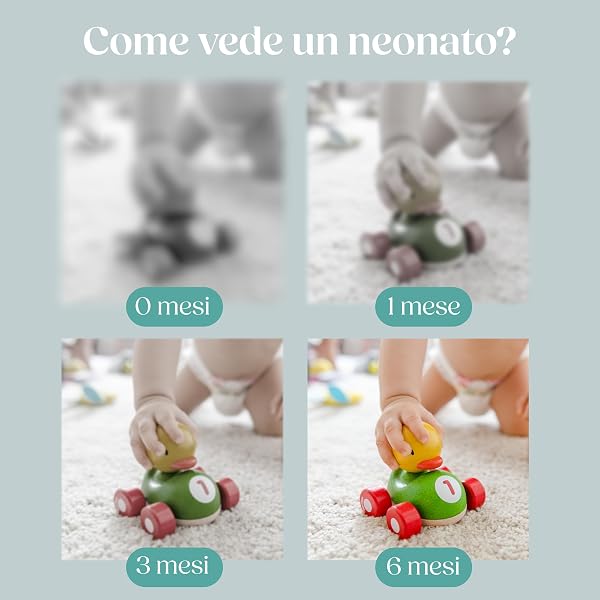 WELLODE® Libro Sensoriale Neonati in Stoffa - Libro Bianco e Nero Neonati Montessori - Ultra Morbido, Sicuro e Lavabile, Ideale per Sviluppo Visivo e Tummy Time (0-12 Mesi) - 5