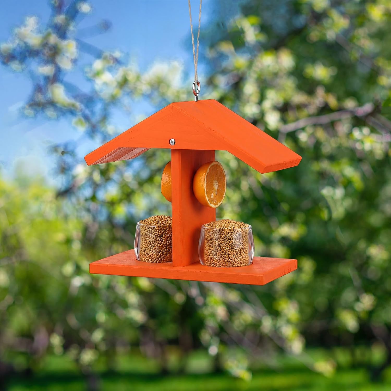 1 Set Oriole Feeders for Outdoors Hanging Jelly Oriole Bird Feeder for Wild Birds and Outdoor Decor Dual-Sided Feeding 2 Removable Glass Dishes Fruit Spikes
