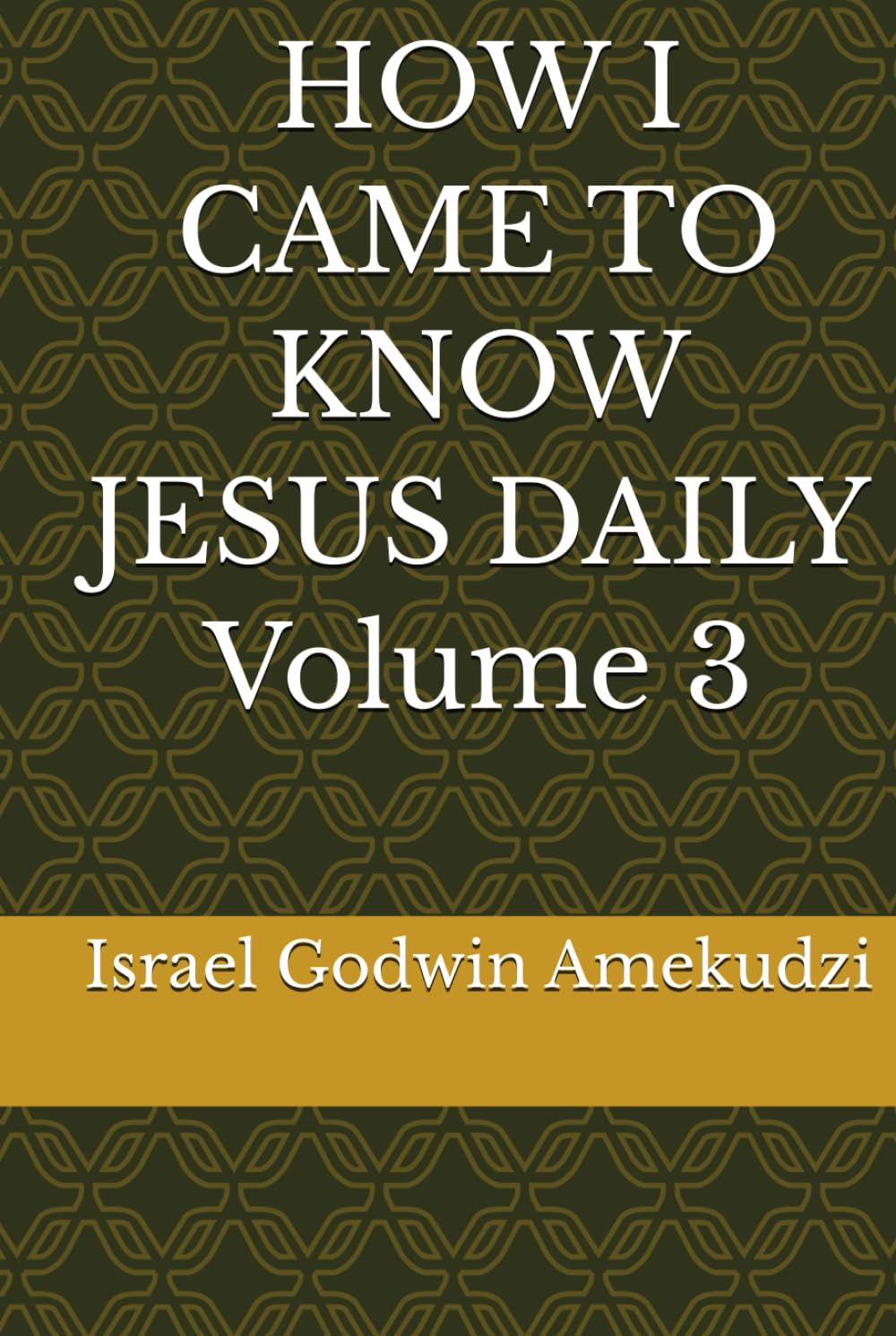 HOW I CAME TO KNOW JESUS DAILY Volume 3