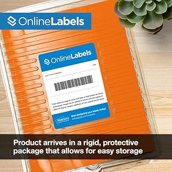 Amazon.com : Neon Orange Address Labels - 2.625 x 1 - Pack