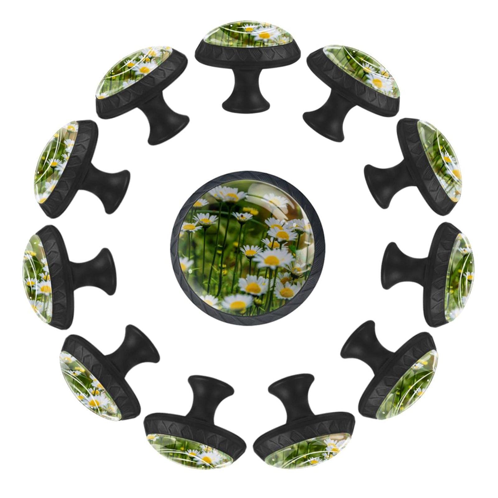 Boutons de tiroir ronds 35 mm Field Full of Daisy à motif floral champêtre (Lot de 12)