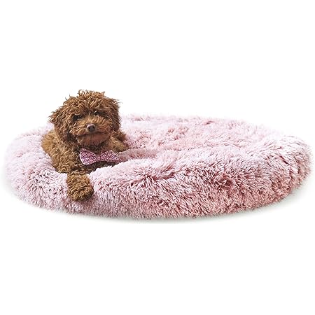 amazon calming pet bed