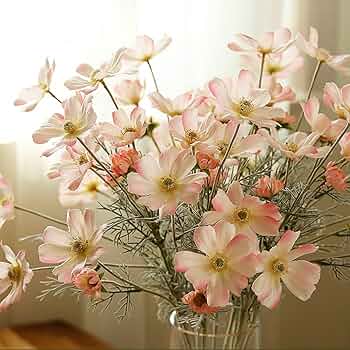 71bfcLmPFuL._AC_UF350,