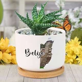 DreamAutumn Belize Ceramic Pots for Plants with Drainage Holes Round Flower Pot Bamboo Tray Orchid Pot Succulents Pots for Outdoor Indoor Plants,Housewarming Gifts