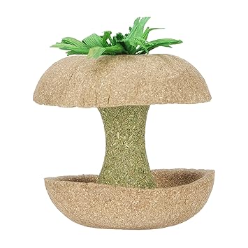 Seed Hamster Chew Toy Natural Seed Hamster Bowl Decorative Timothy Herb Noodles for Rats