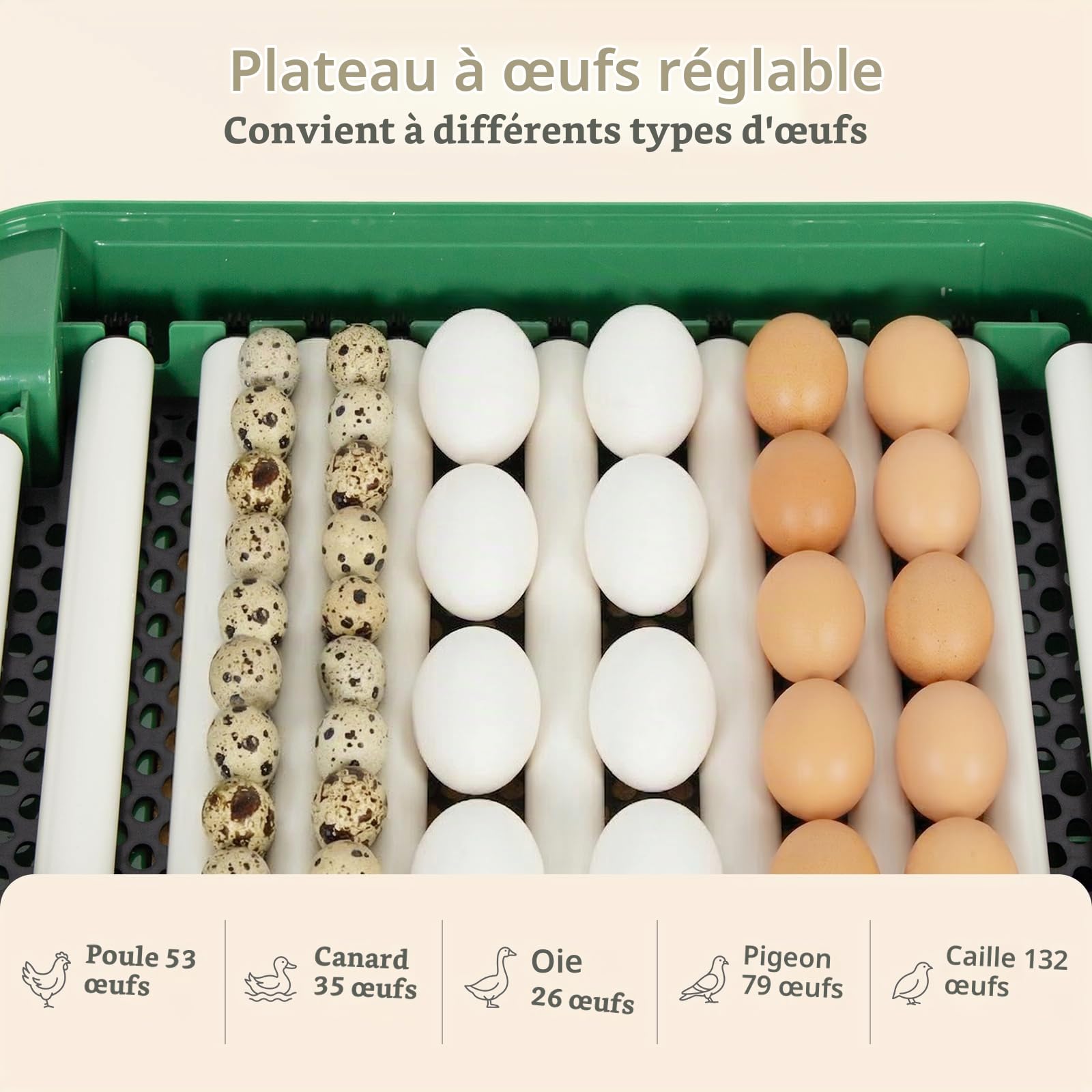 Todeco Incubateur Automatique 53 Œufs, Température & Humidité Réglables