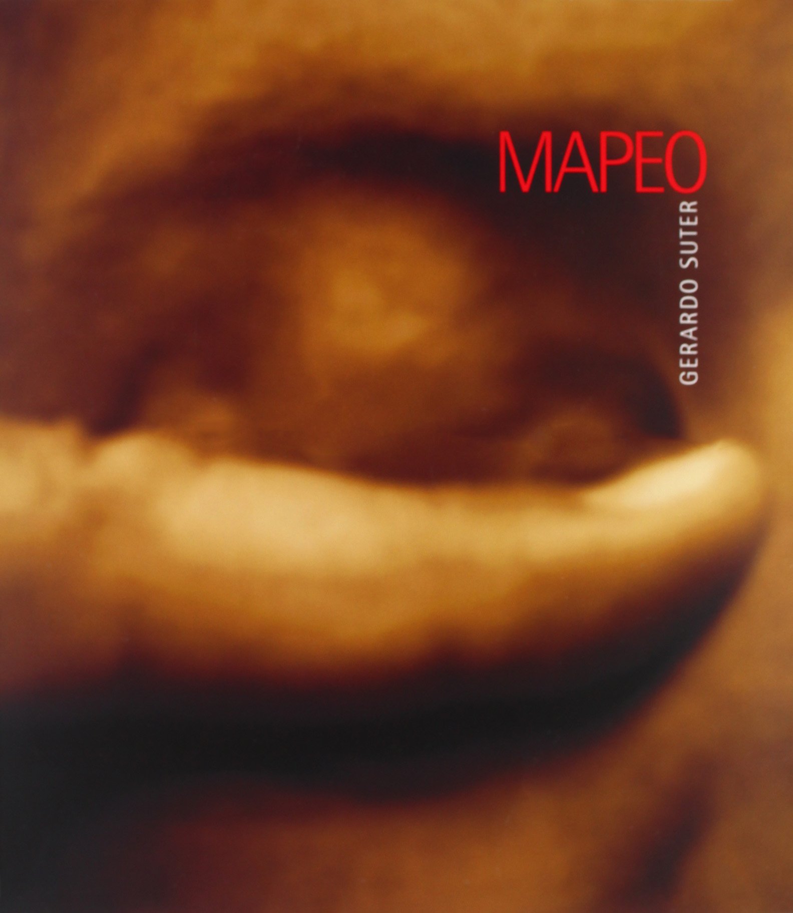 Mapeo Gerardo Suter comprendre la photo d'art sans jargon complexe