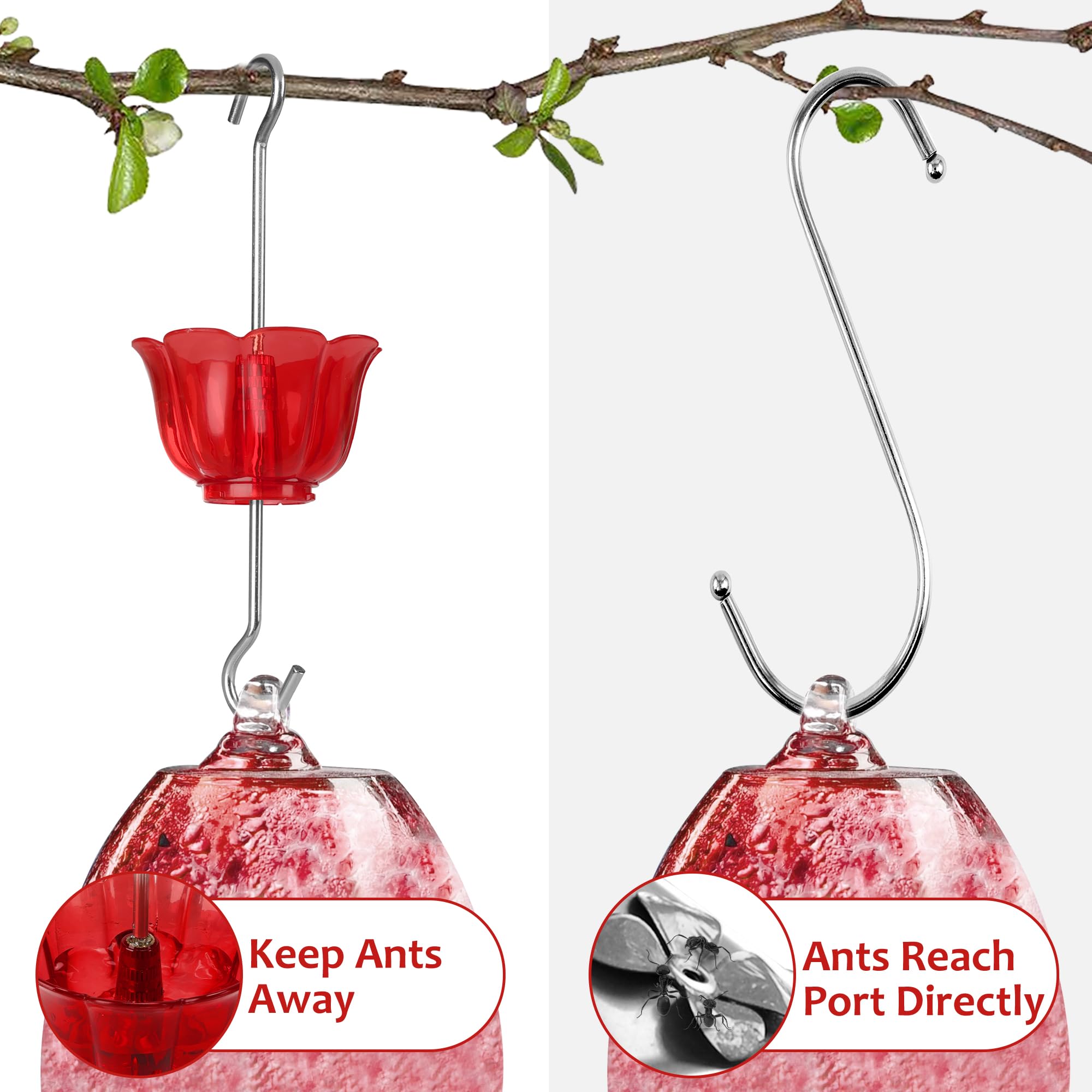 Hummingbird Feeder 6-Pack Ant Moats - Large Capacity Petal-Shaped Ant ...