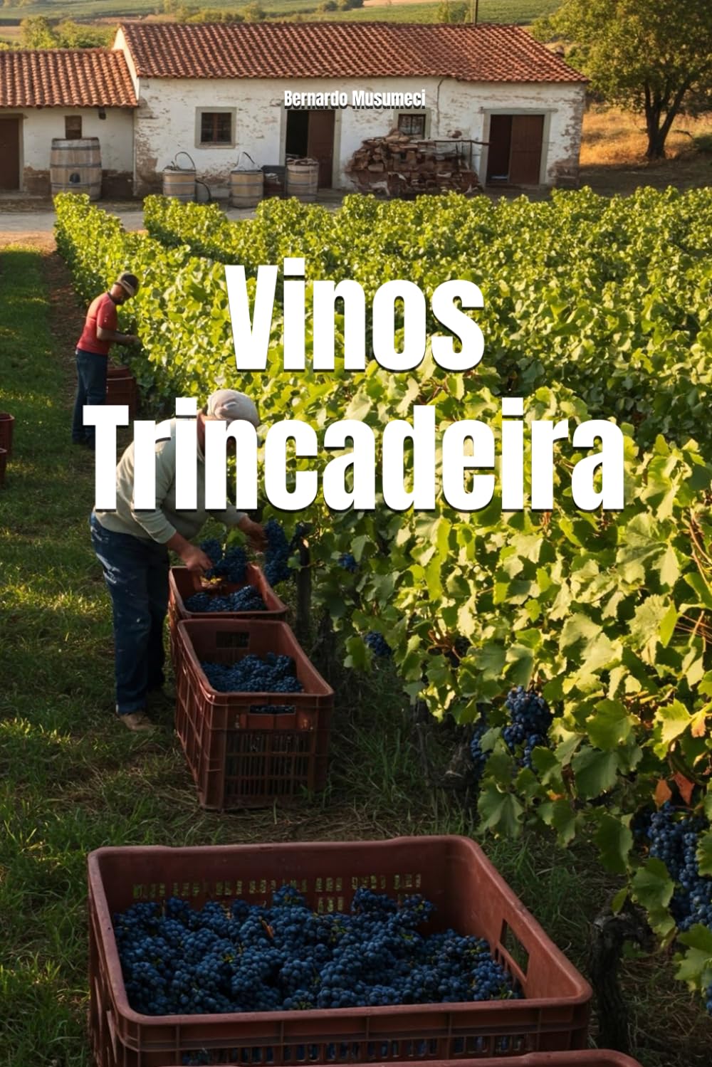 Vinos Trincadeira (Wines of the World: Portugal)