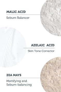 The Purest Solutions Refill Ecological Replacement Package Azelaic Acid And Malic Acid Enzyme Dust Cleaner
