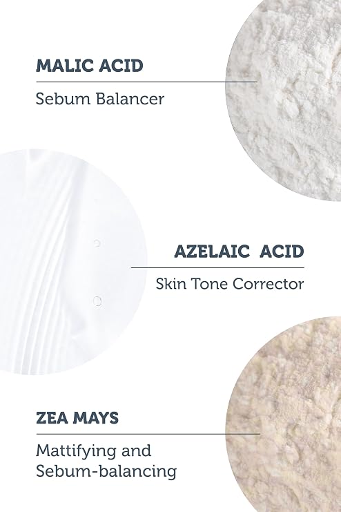 The Purest Solutions Refill Ecological Replacement Package Azelaic Acid And Malic Acid Enzyme Dust Cleaner