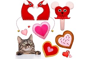 Exhilarating Valentine's Day Cat Treat
