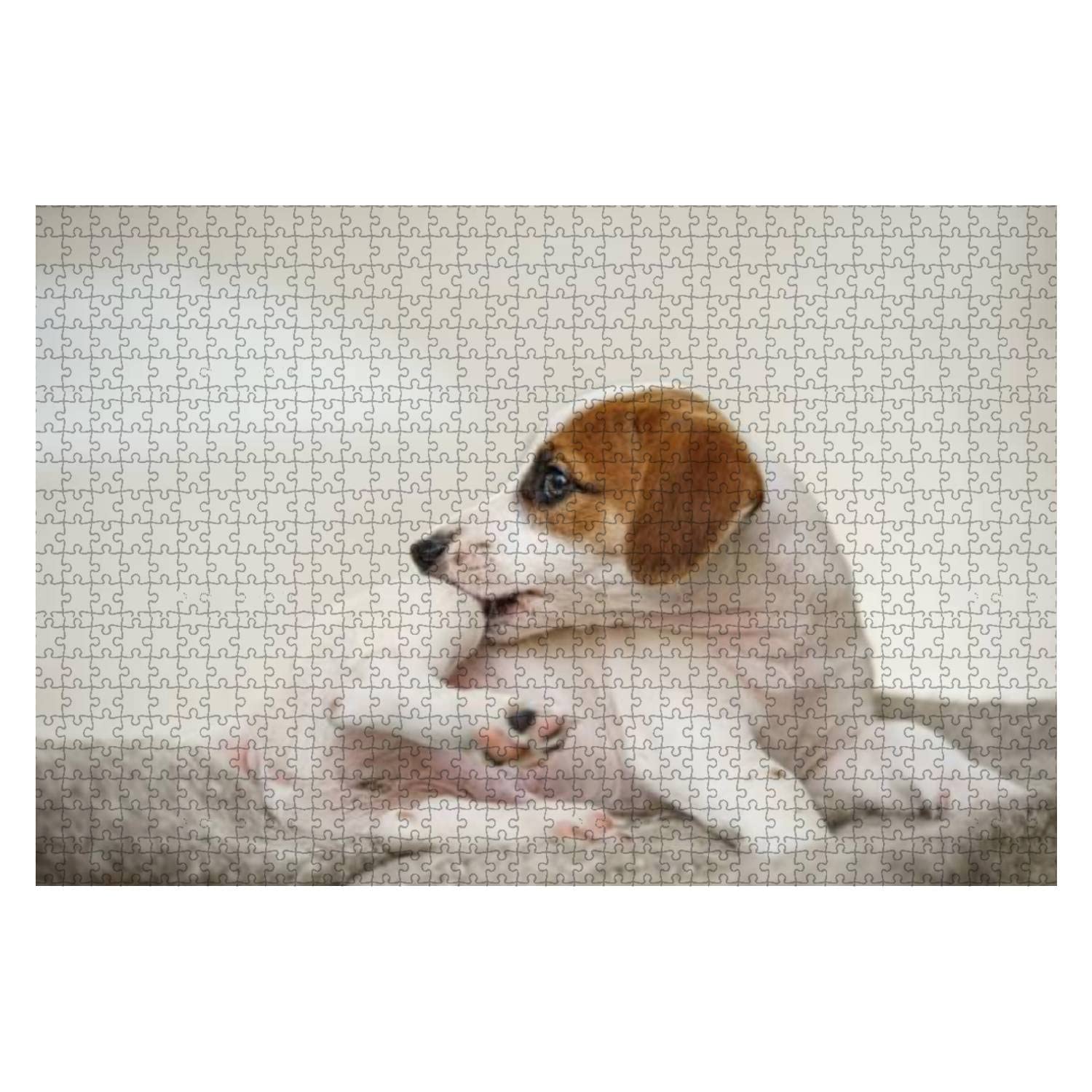 jack russell jigsaw