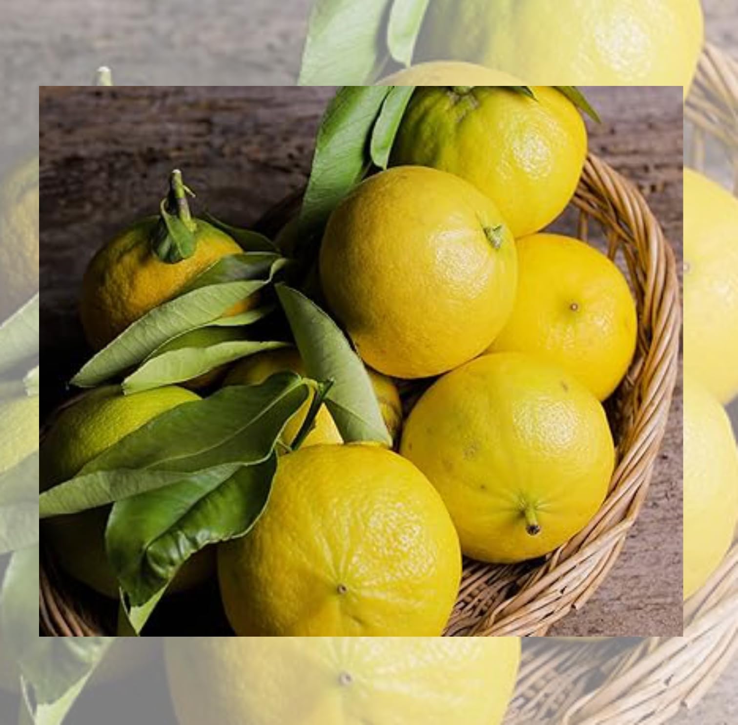 Spremuta Succo di Bergamotto 12x 200ml – 100% Naturale Frutta Fresca di Stagione - Gusto Autentico - Prodotto Artigianale Alta Qualità Senza Additivi – Kalos Jero