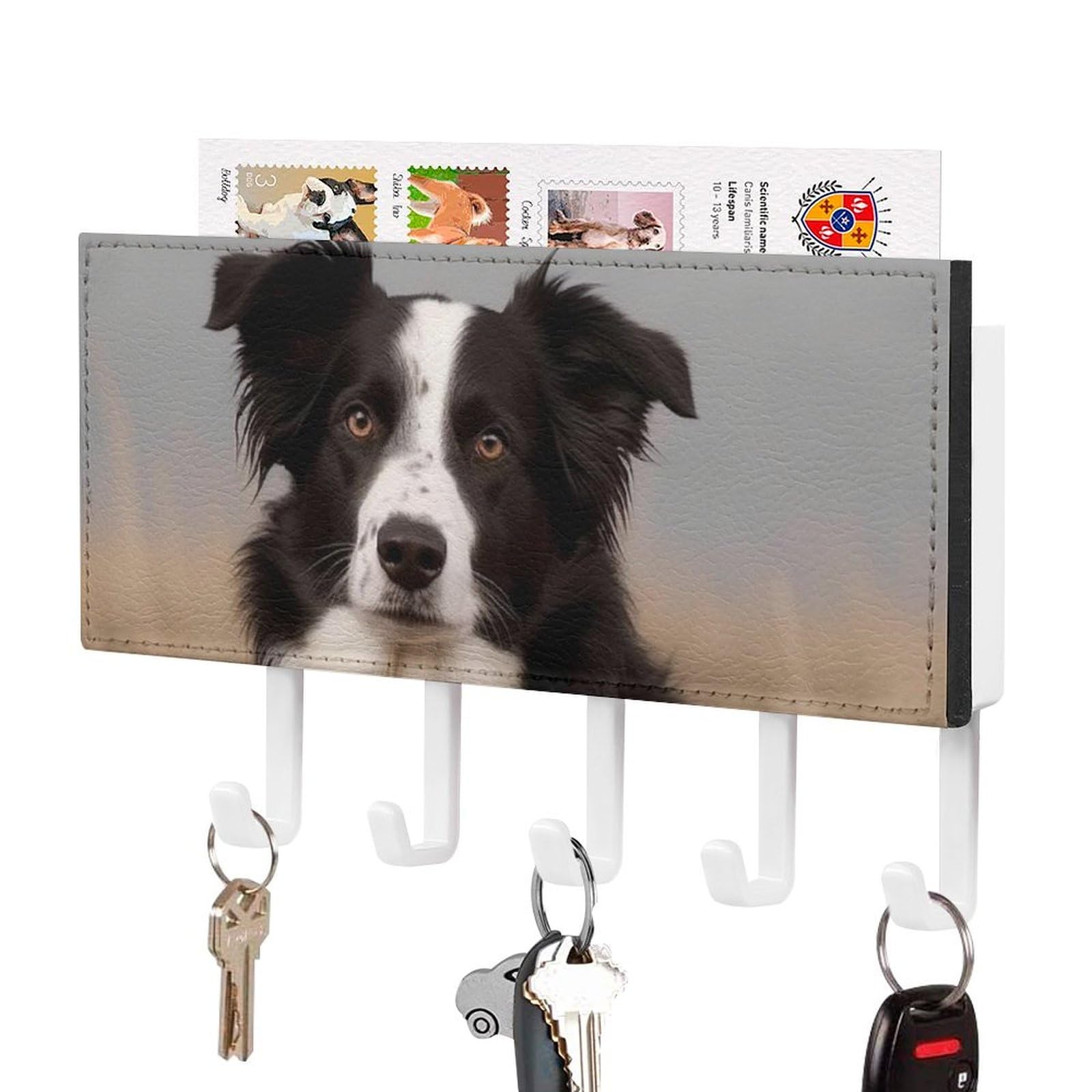 JTKBNVM Border Collie Key Holder Rack Wall Mount Hanging Mail Organizer Adhesive Keys Rack with 5 Hooks No Drill Home Keys Hanger Decorative Key Hooks for Wall Entryway Hallway Living Room Mudroom