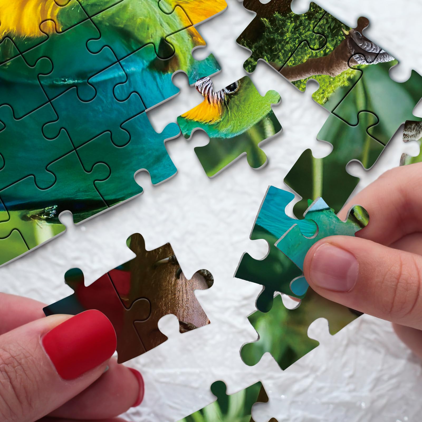 Parrot Puzzles for Adults 1000 Pieces, Tropical Bird Jigsaw Puzzles, Forest Landscape Puzzles for Wall Art - Image 6