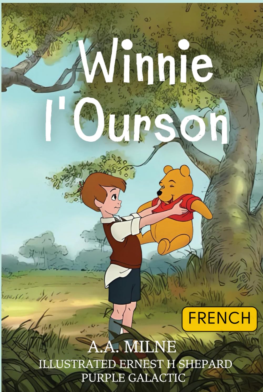 Winnie l'Ourson: Histoires et Aventures en Français: Le Classique Indémodable pour Enfants et Familles (French Edition)