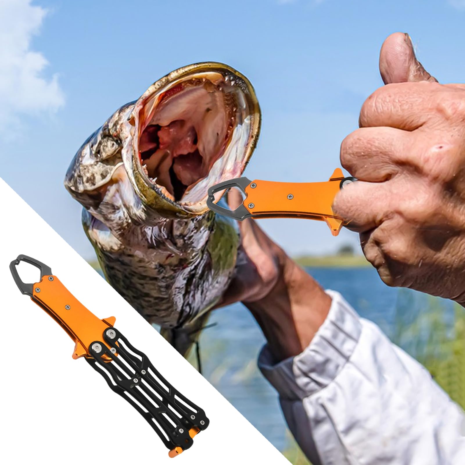 Genérico Alicates de Labios para Pesca - Herramienta de Alicates para Pesca en Línea | Plegable para Pescado | Para Agua Salada, Pez Gato, Surf, Barco, Agua Dulce, Camping Y