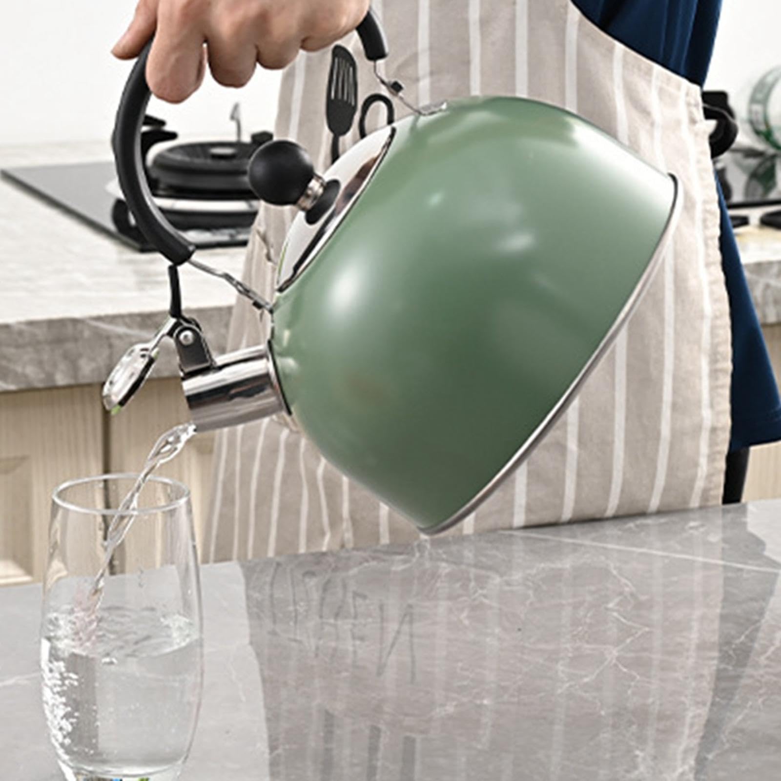 Tetera silbante para cocina, de gas, eléctrica, de inducción, de acero inoxidable, ideal para pesca, picnic, barbacoa y exteriores, Verde