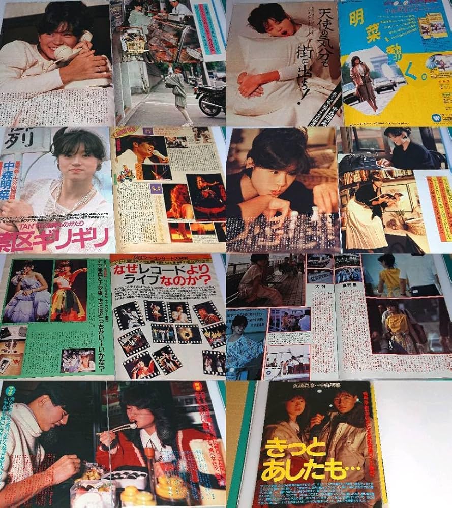 中森明菜　1982年〜1990年 大量　切り抜き　ファイル　2冊　120P 中森明菜 1982年〜1990年 大量 切り抜き ファイル 2冊 120P