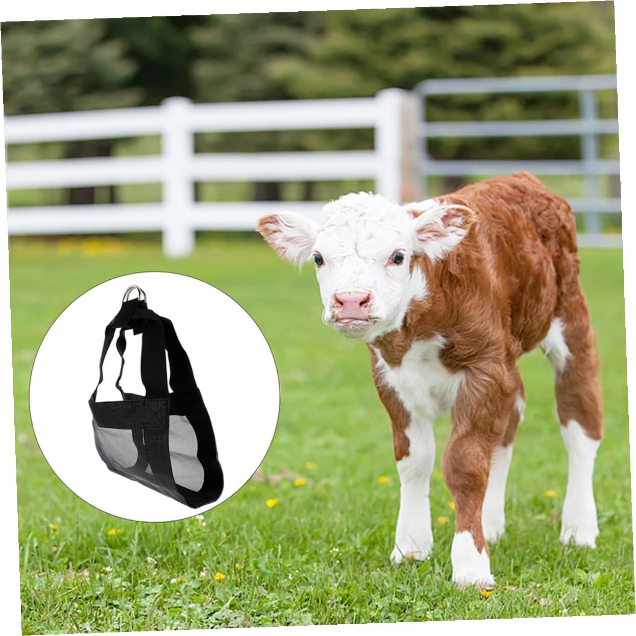 Imbracature in Nylon Nero per Pesare Piccoli Animali 2 Pezzi, Resistenti e Facili da Usare, Adatte per Agnelli e Vicuña in Fattoria