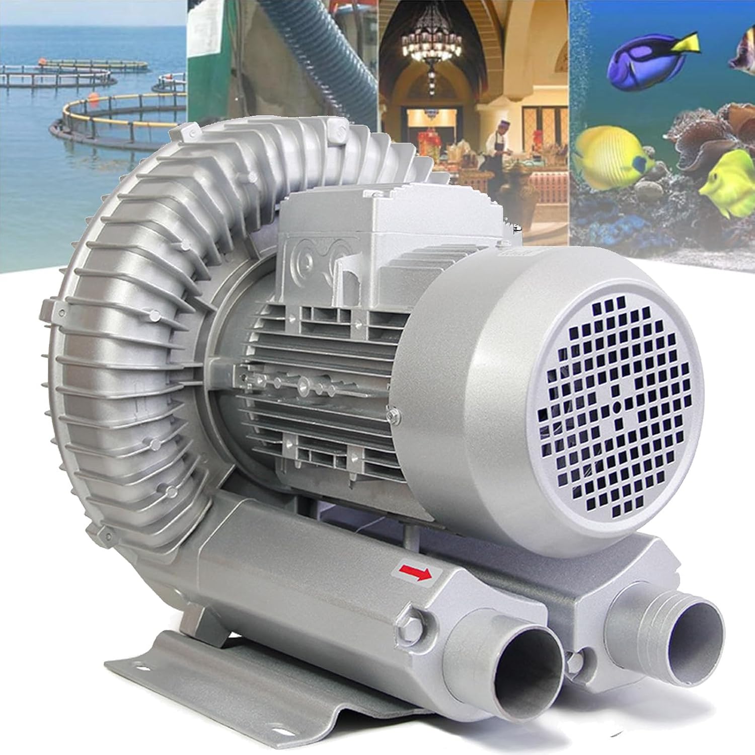 High-Pressure Regenerative Vortex Blower,High-Pressure Vortex Ring Blower for Fish Tank Single Phase Regenerative Blower，（370W/0.50HP）