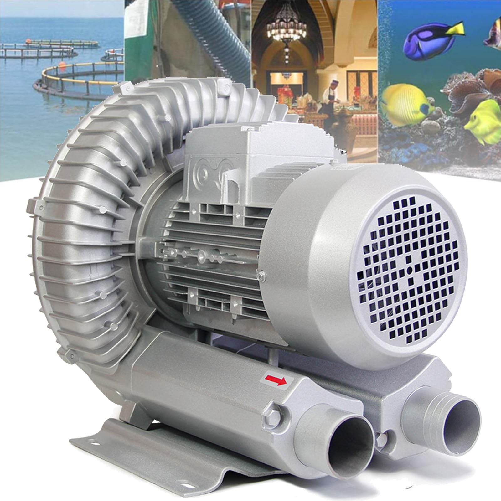 Ventilatore rigenerativo monofase WTTWW 220V 50Hz, Ventilatore ad Anello a vortice ad Alta Pressione, Ventilatore ad Anello, per Ventilatore centrifugo per Acquario (550W/0.74HP)