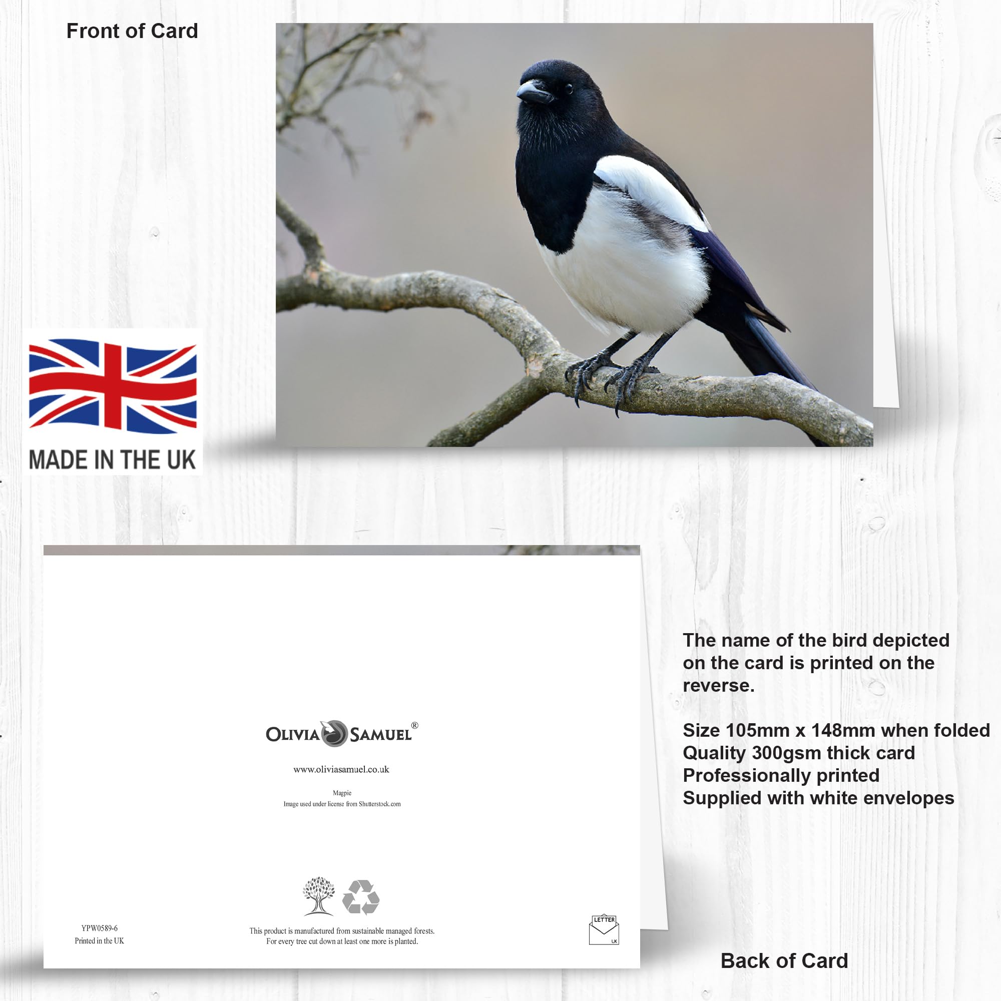 24 x British Garden Birds Greeting Cards A great value Multipack of blank note cards, Eco Friendly and Designed and Printed in the UK - Image 2