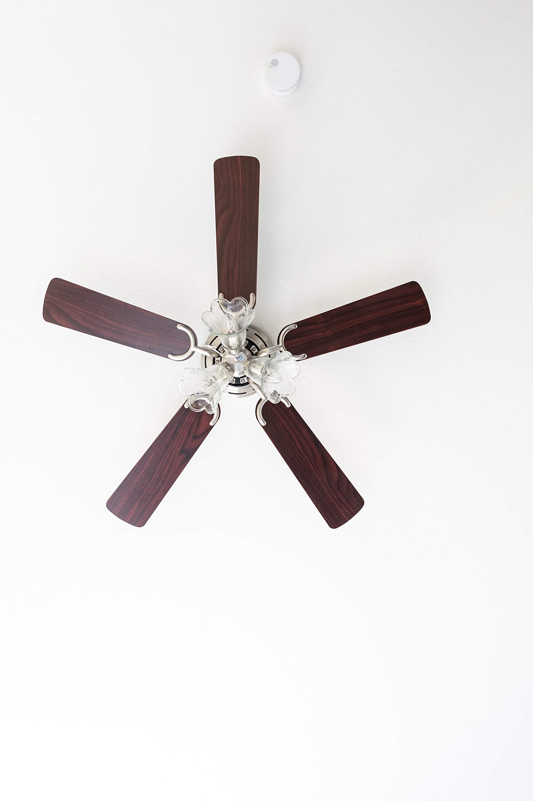 Pepeo Kisa Deluxe Nichel Spazzolato con Illuminazione Ventilatore da soffitto. 44 W, Palissandro/Noce Scuro, 105 cm