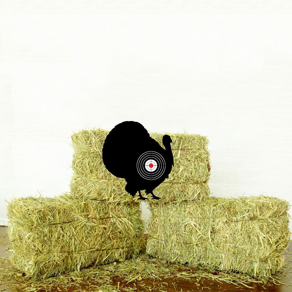 VictoryStore Outdoor Shooting and Archery Practice Targets - 10 Animal Targets for Practice Shooting and Bowhunters - Great Targets for Kid's Dart Guns