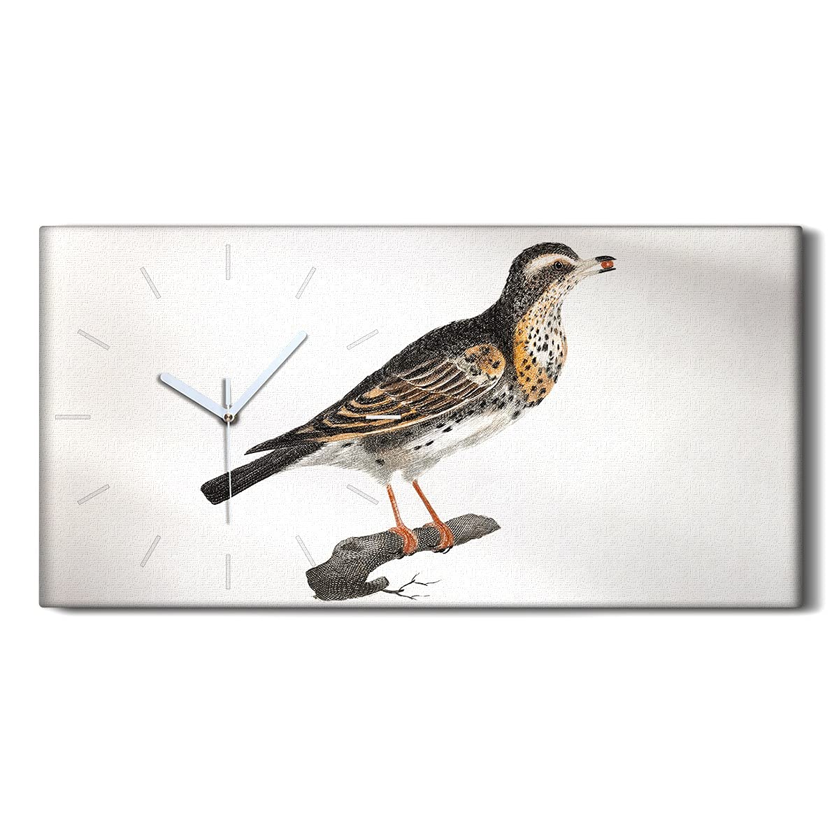 Horloge murale oiseau toile 60x30cm moderne salon chambre silencieux