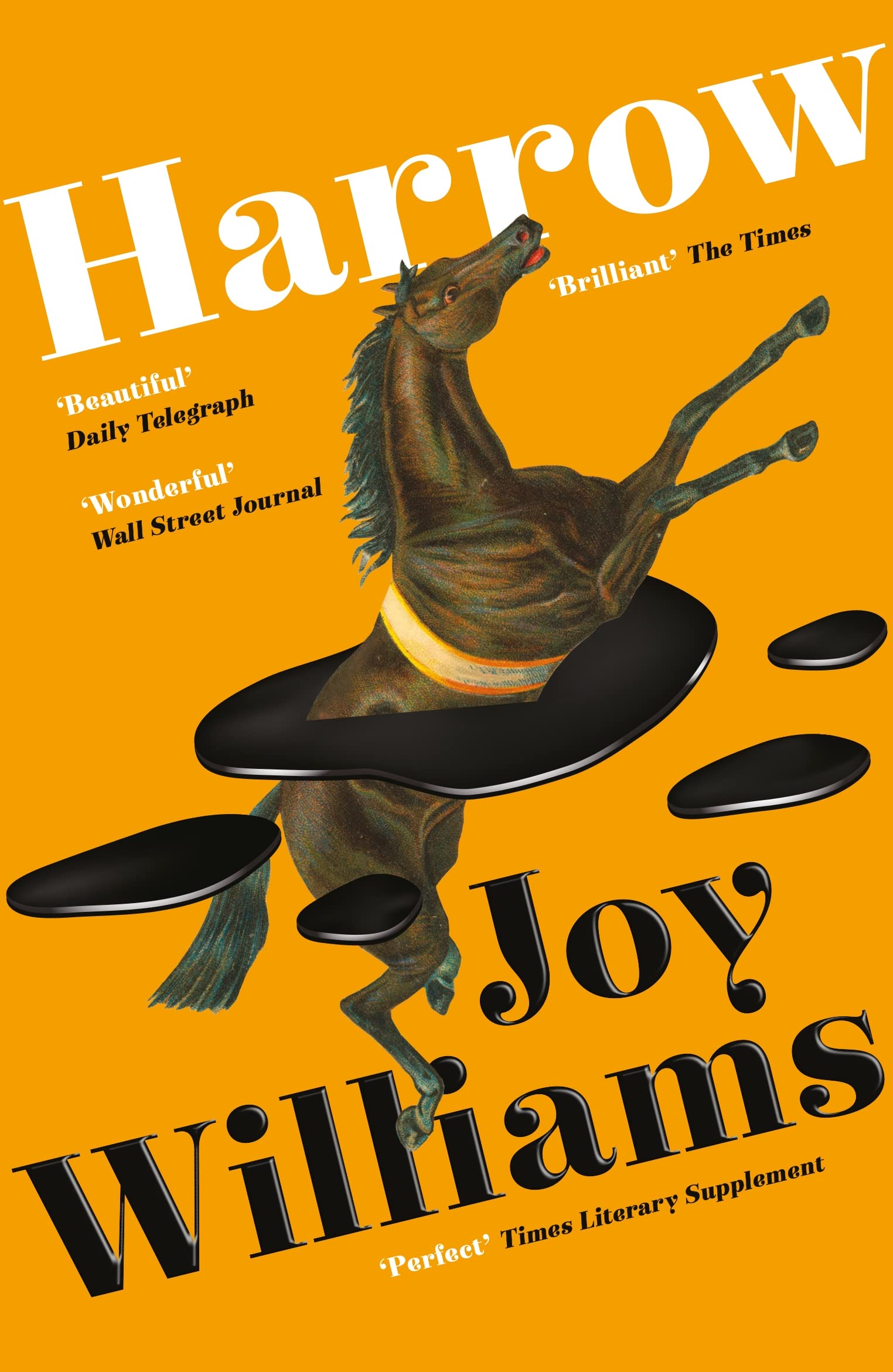 Joy Williams Harrow Paperback Fiction Book