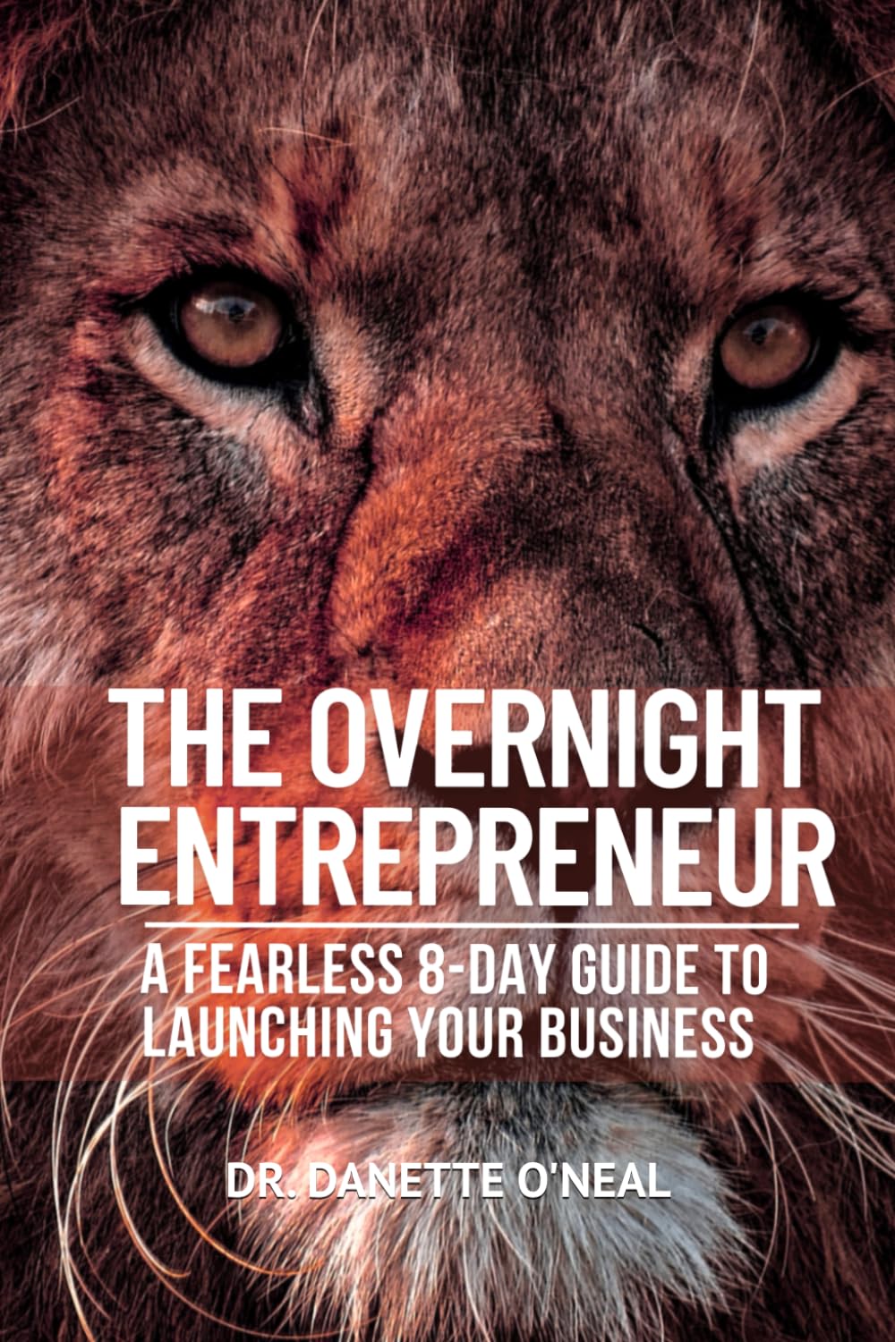 The Overnight Entrepreneur: A Fearless 8-Day Guide to Launching Your Business