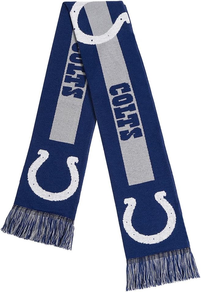 FOCO NFL unisex-adult 2016 Big Logo Scarf
