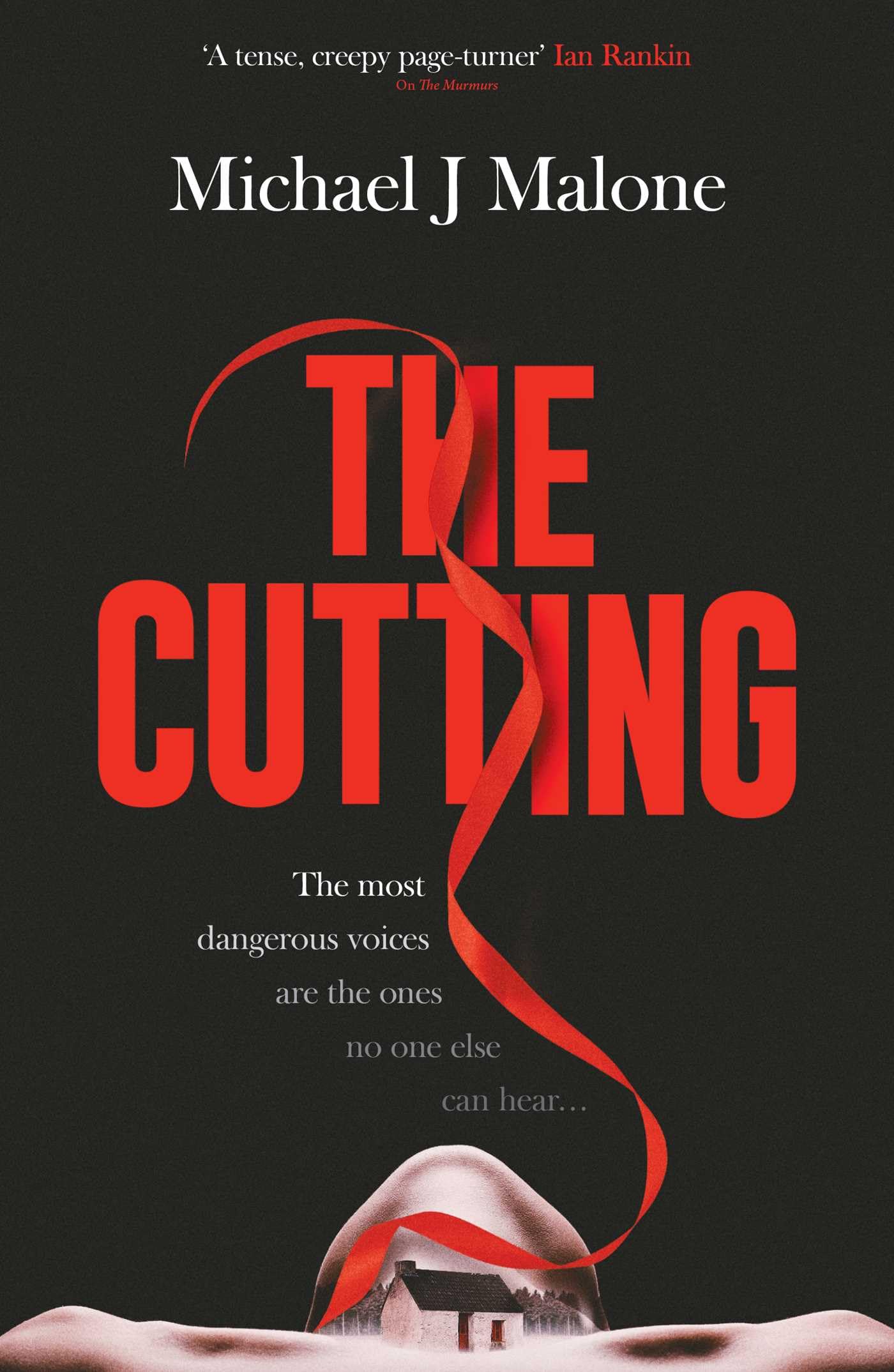 The Cutting: The dark spine-tingling new Annie Jackson mystery: Volume 4 (The Annie Jackson Mysteries)
