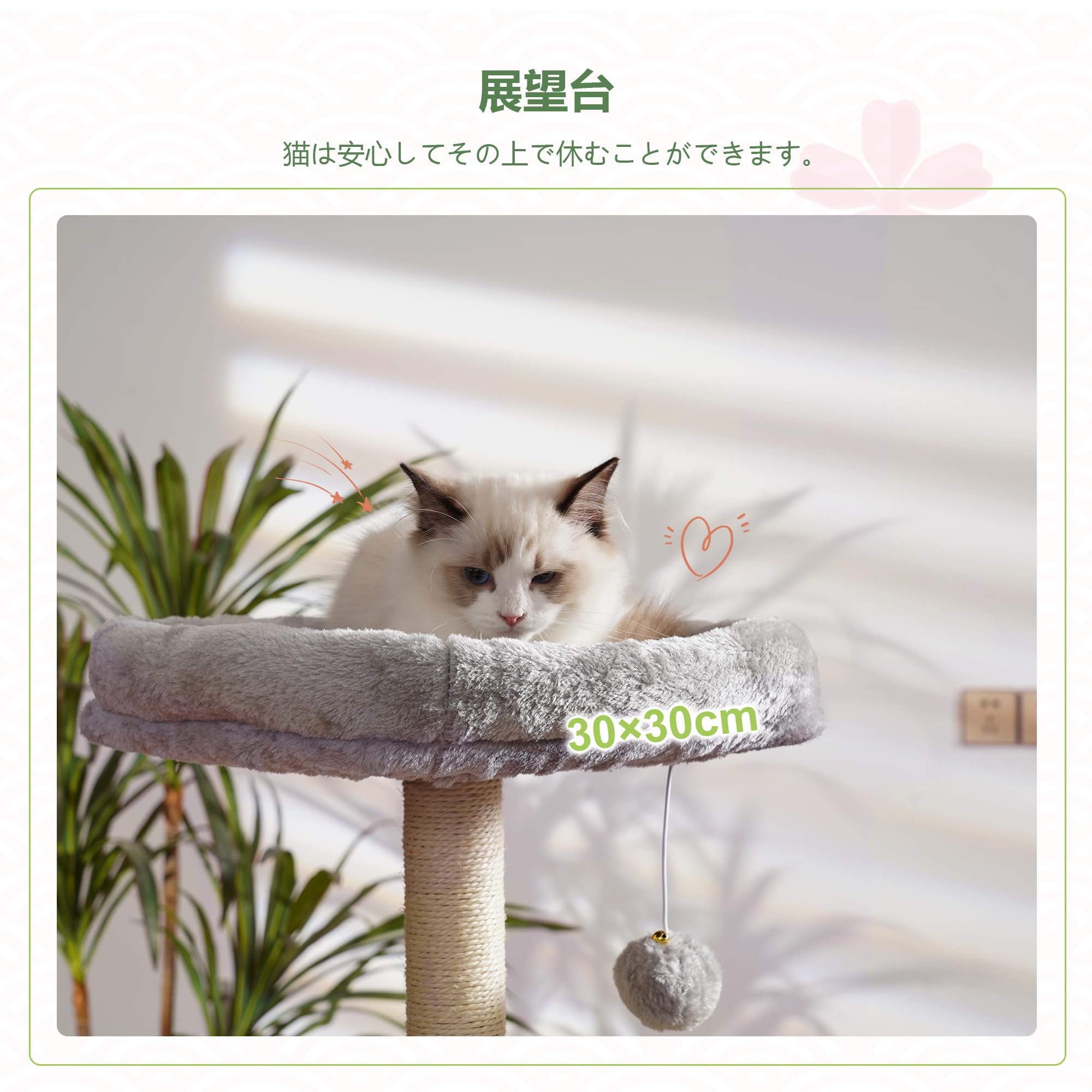 Amazon | Heybly キャットタワー 子猫とシニア猫に最適 超スリム