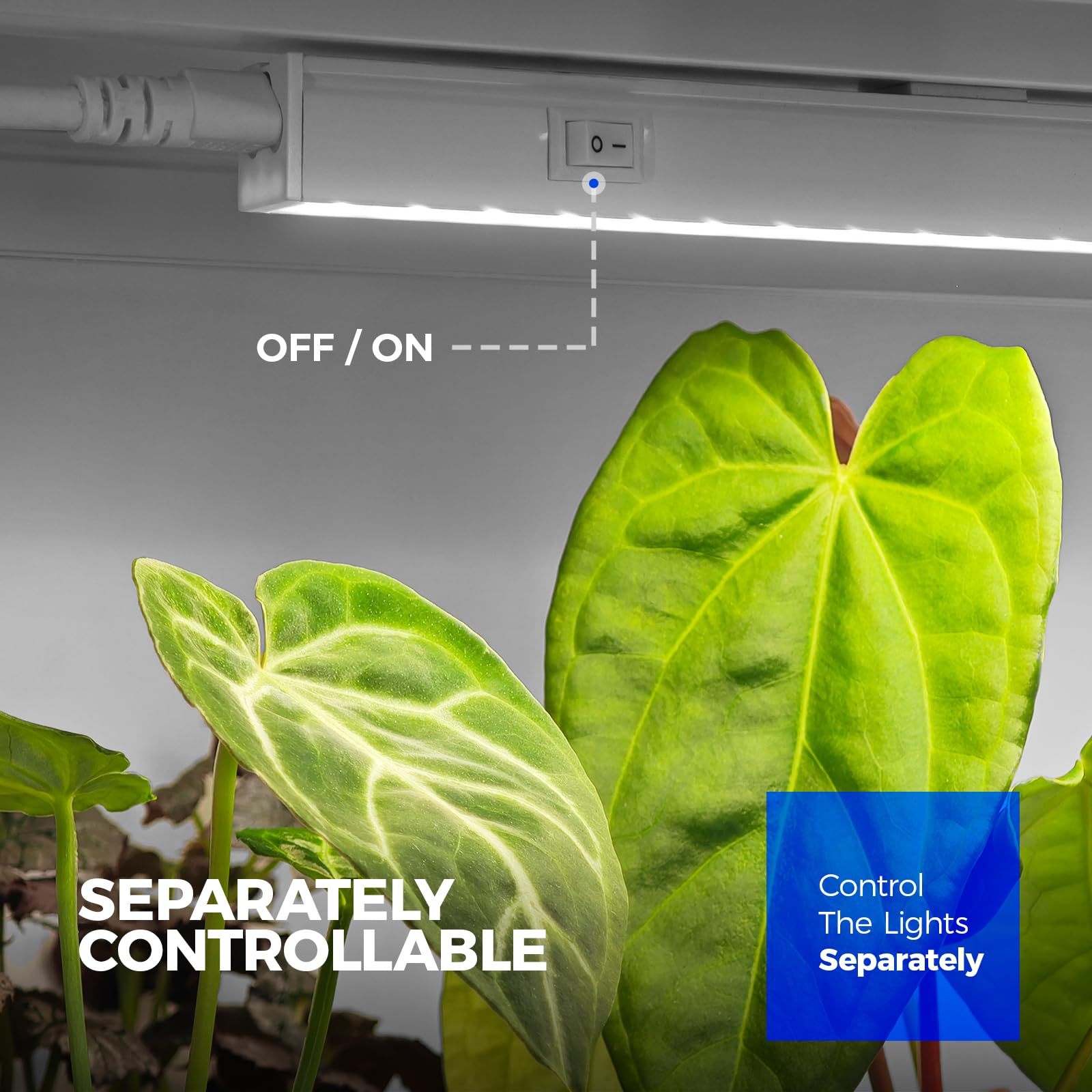 Barrina T5 LED Grow Lampe, 59cm, 5000K Weißes Vollspektrum Pflanzenlampe, 40W (4 x 10W), 2FT Verkettbare Grow Lampe Blüte, Stecker und Spiel, Hohe PPFD, 4er