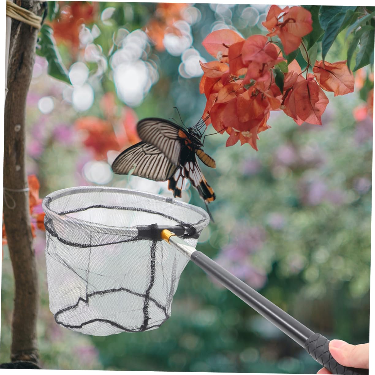 Toddmomy 8pièces Filet De Télescopique Épuisette Portable pour Attraper Poissons Insectes Et Accessoire De Extérieur Et Léger