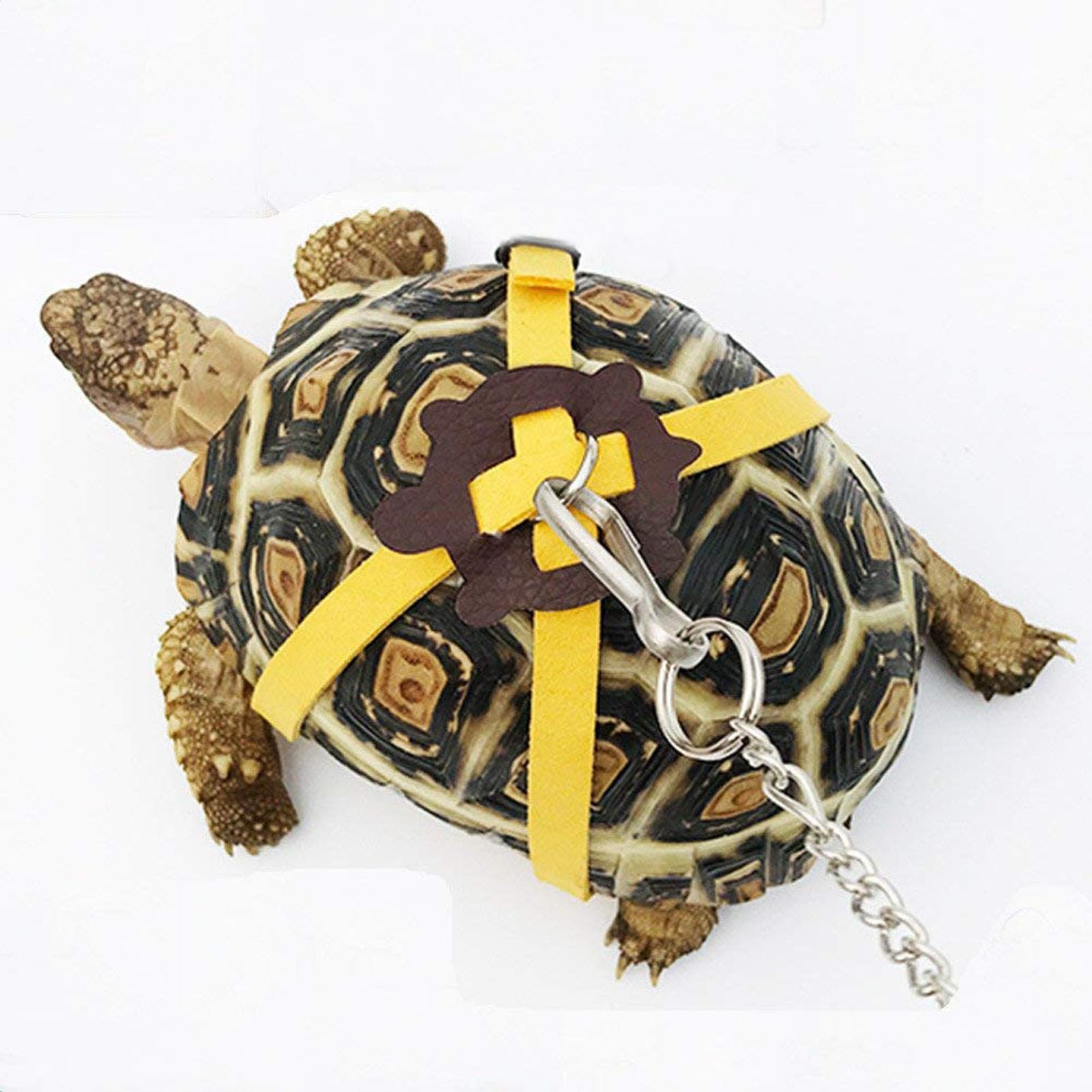 Pet Tortoise Turtle Harness, Harness Strap Leash Walking Lead Control Rope Chest Collar Small and Safety Soft PU Leather Adjustable Lizard for Training Supplies (Silence)