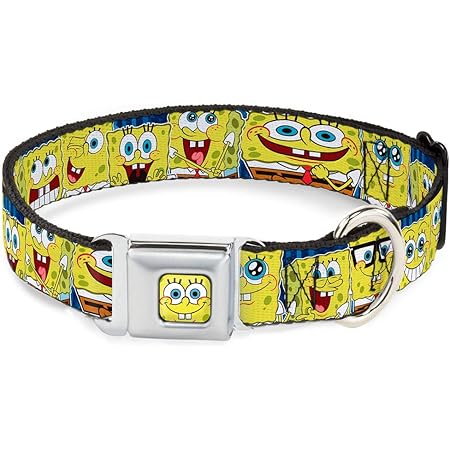 spongebob dog collar