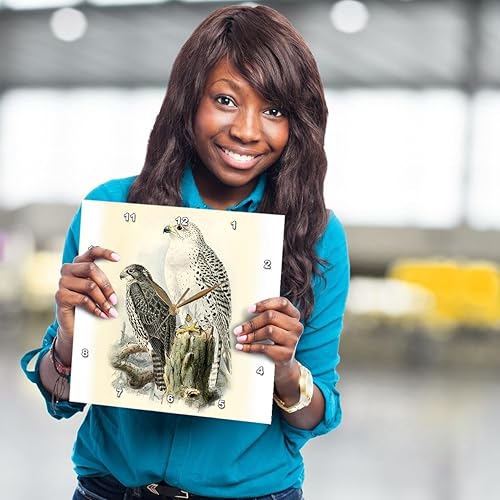 Miniatura 8 de 3dRose Wall Clock Silent - 15 inch - White Gyrfalcon Gyr Falcon Birds of Prey Vintage Art Falconry Bird - Bird Designs