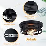 ZHU YAN 2 Pack Black Flush Mount Plafond Light,Farmhouse Metal Cage Black Light fixture Plafond Mount for Kitchen Entryway Hallway E26 Base (10.63in)